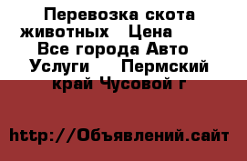 Перевозка скота животных › Цена ­ 39 - Все города Авто » Услуги   . Пермский край,Чусовой г.